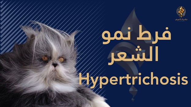 فرط نمو الشعر Hypertrichosis وراثي أم مكتسب؟